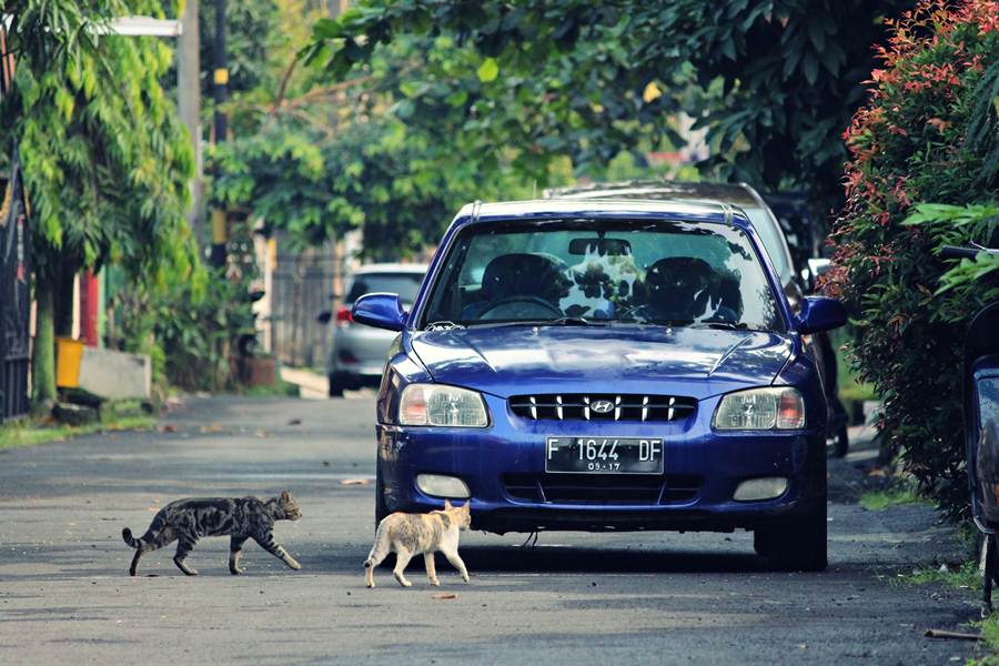 Hyundai Accent Verna 2002 - si Biru