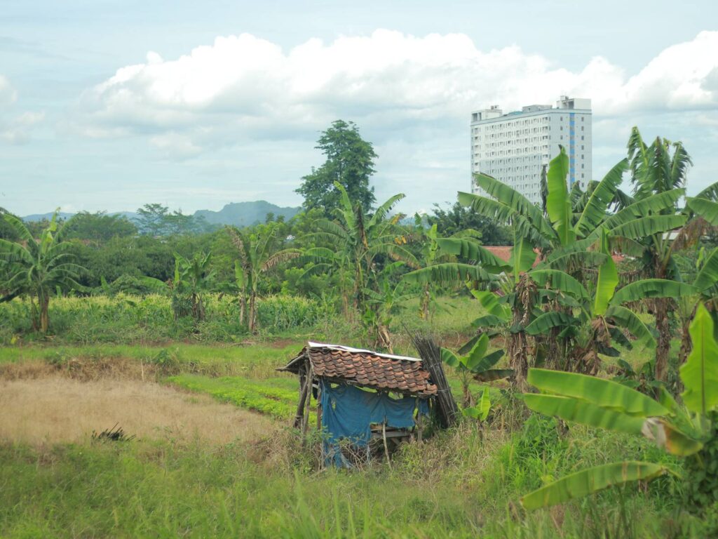 Kangen motret lagi