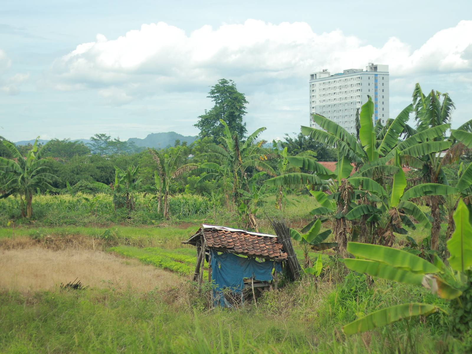 Kangen motret lagi